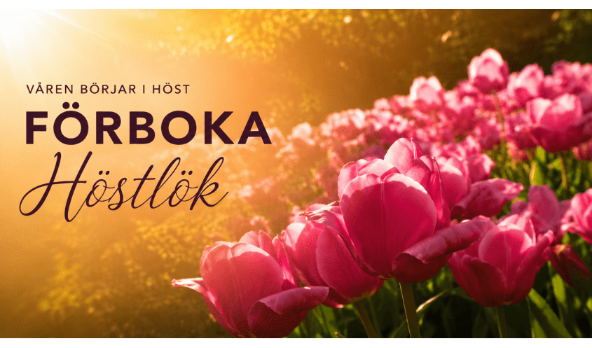 Höstlök
