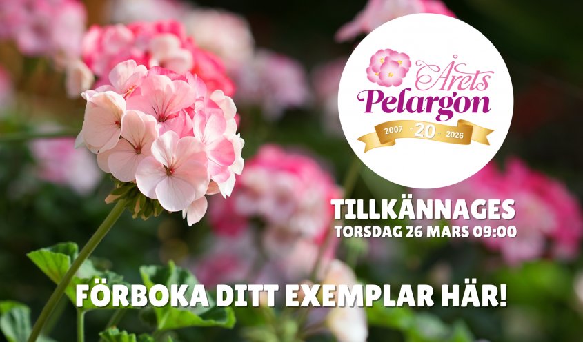 ÅRETS PELARGON 2026