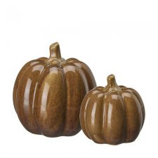 Pumpa Judy Brunmelerad