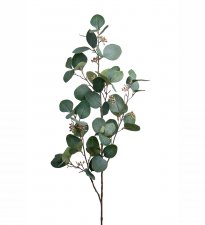 Eucalyptus med bär Grön 100cm
