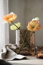 Lykta Hamra Chestnut 15x20cm