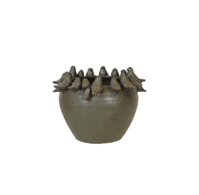 Kruka Grå Melerad Fåglar