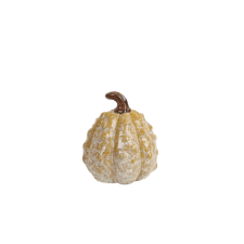 Pumpa Gul 10x12cm 