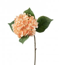 Hortensia Aprikos 40cm, Konstgjord