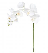 Orkidé Vit 75cm, Konstgjord
