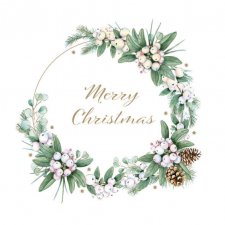 Servetter 3-lags 33x33cm 20-pack Elegant Mistletoe