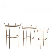 Pionstöd Ethel Rost