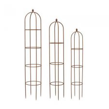 Växtstöd Rost Ethel