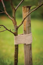 Juteband 6cm x 5m