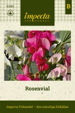 Rosenvial