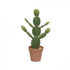 Kaktus med kruka 18x18x63cm