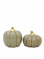Pumpa Fenja Ljusgrön Stor Mix