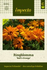 Ringblomma, Ball´s Orange, Ekologisk