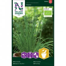 Gräslök, Staro, Ekologisk