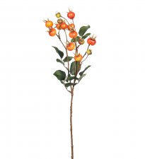 Nypon Orange 60cm