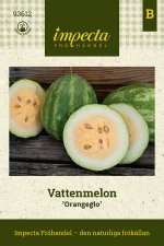 Melon, Vatten-, Orangeglo