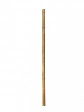 Bamburör Natur 180cm