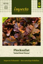 Sallat, Plock-, Salad Bowl Rossa, Ekologisk