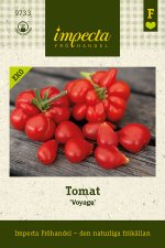 Tomat, Voyage
