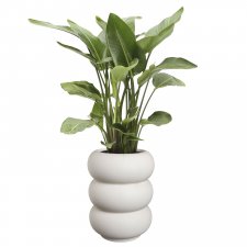 Amber Roll Linen White