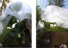 Fiberduk 30kvm 14,3x2,1m