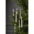 Antikljus LED Paulina 10st