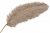 Strutsfjäder Mullvad 60cm
