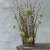 Blomsterfakir Kenzan The Ring 20cm