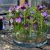 Blomsterfakir Kenzan The Ring 20cm