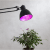 Växtlampa LED E27 lm 200