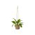 Ampel Belle Natur 17x15cm