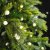 Ljusslinga LED Cherry Varmvit