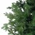 Konstgran / Julgran Greenhill Fir