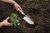 Handspade