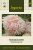 Aster, Sommar-, King Size Apricot