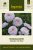 Aster, Sommar-, Matador Soft Blue