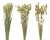 Bukett Torkad Vete Natur 60cm