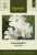 Rosenskära 'Vega White'