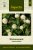 Klotamarant Gnome White