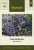 Lobelia, Kant-, Mix Palace