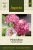 Vallmo, Pion-, Flemish Antique