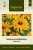 Rudbeckia, Sommar-, Goldilocks