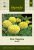 Tagetes, Stor, Alaska