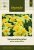 Tagetes, Sammets-, Alumia Vanilla Cream