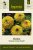 Zinnia, Queeny Lemon Peach
