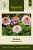 Zinnia, Zinderella Lilac