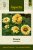 Zinnia, Isabellina