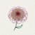 Zinnia, Zinderella Lilac