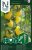 Tomat White Cherry