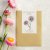 Eternell, Jätte-, Silvery Rose